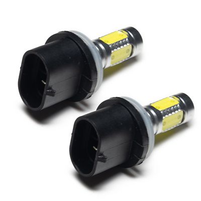 Image showing  880/881 Plasma Bulbs, Pair, 3611-051
