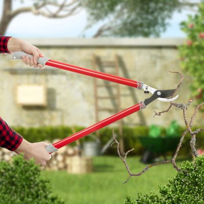 Image showing  Bypass Loppers