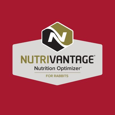 Image showing  Home Fresh Family Hutch 17 Pelleted Feed