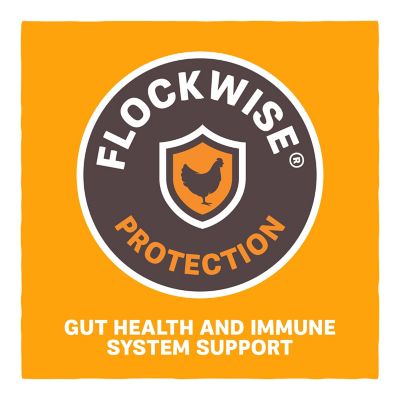 Image showing 5 th Kent Blue Seal Home Fresh Chick Starter AMP, 7 lb.