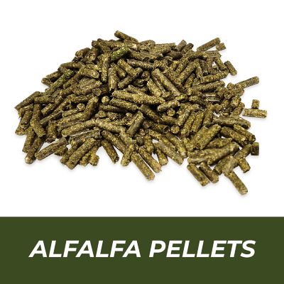 Medalist Feed Mini Alfalfa Pellets