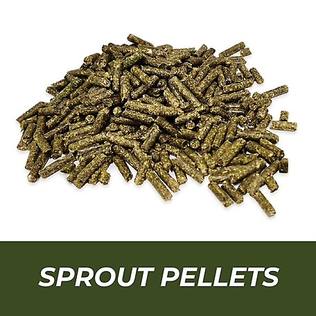 Medalist Feed Mini Sprout Pellets