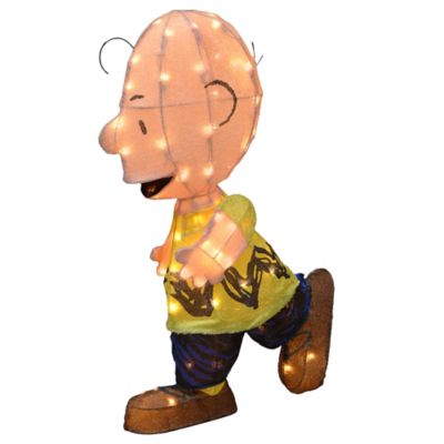 Image showing  Peanuts Lucy Football with Charlie Brown