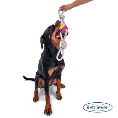 Image showing  Tug-O-War Rope with Ball Dog Toy