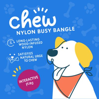 Image showing  Nylon Busy Bangle Dog Chew Toy, Assorted Colors