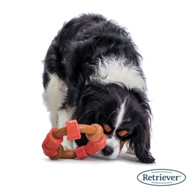 Image showing  Nylon Busy Bangle Dog Chew Toy, Assorted Colors