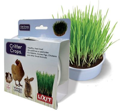 Lixit Oat Grass Grow Kit for SA Consumable