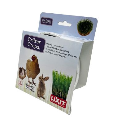 Image showing  Oat Grass Grow Kit for SA Consumable