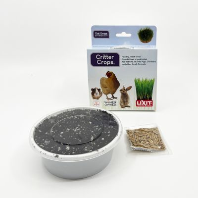 Image showing  Oat Grass Grow Kit for SA Consumable
