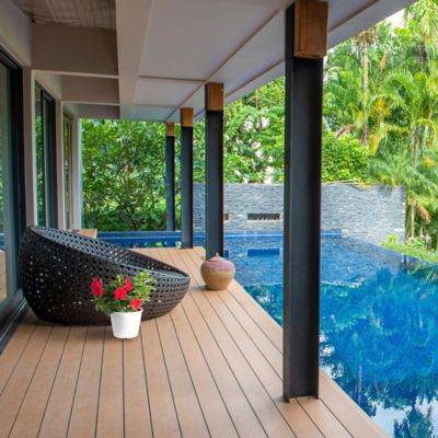 Image showing  3 qt. Mandevilla Planter