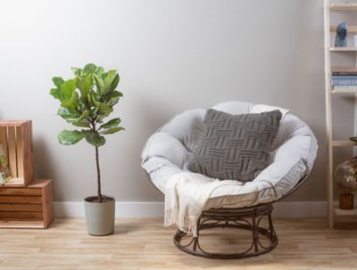 Image showing  10 in. Lyrata Standard