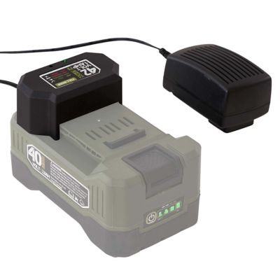 Image showing  40V 1A Battery Charger