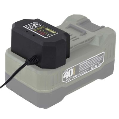Image showing  40V 1A Battery Charger