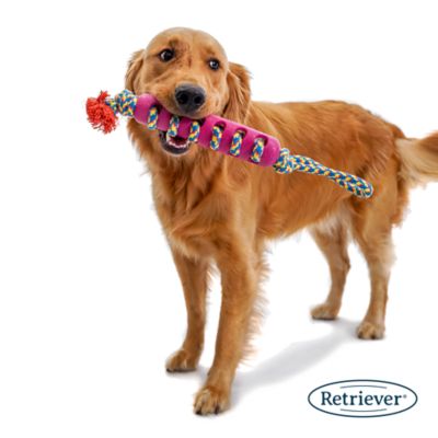 Image showing  Tug-O-War Braided Rope Stick Toss Dog Toy, Assorted Colors