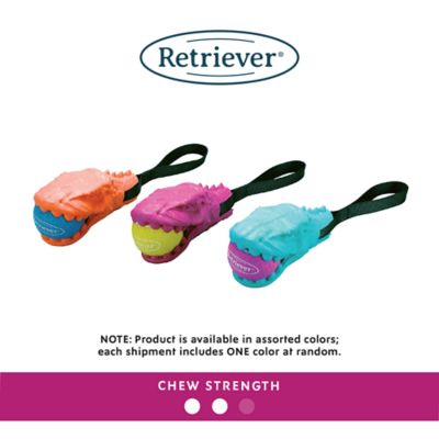 Image showing  Dino Chomp Tug Dog Toy with Tennis Ball, Assorted Colors