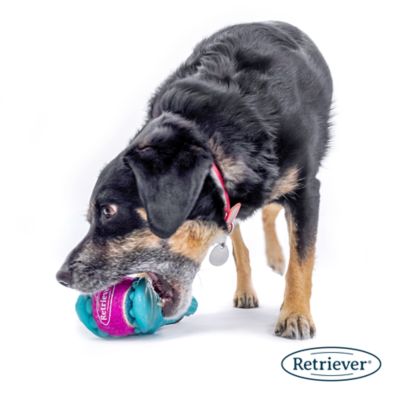 Image showing  Dino Chomp Tug Dog Toy with Tennis Ball, Assorted Colors