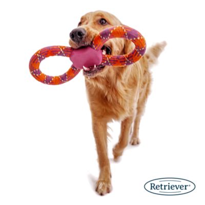 Image showing  Tug-O-War Infinity Rope Dog Toy, Assorted Colors