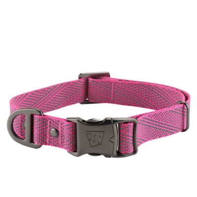 Image showing  Reflective Collar