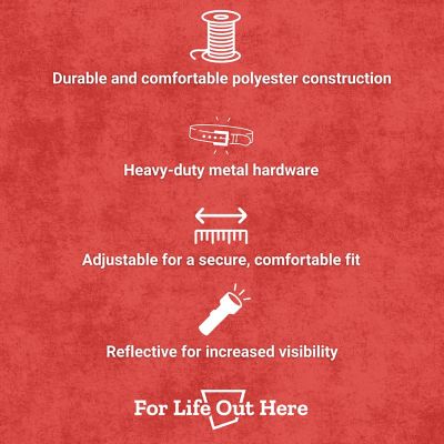 Image showing  Reflective Collar