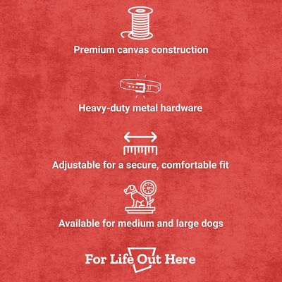 Image showing  Logo Repeat Durable Canvas Dog Collar