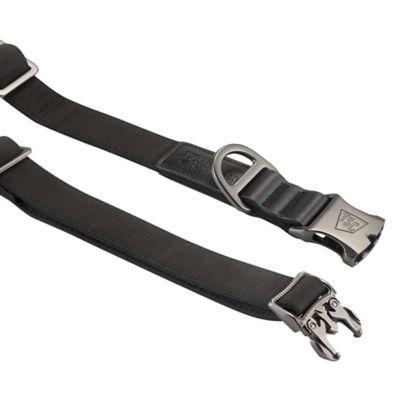 Image showing  Logo Repeat Durable Canvas Dog Collar