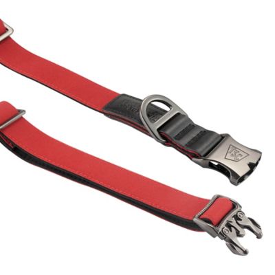 Tractor Supply Logo Repeat Durable Canvas Dog Collar