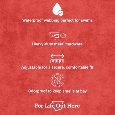 Image showing  Waterproof Collar