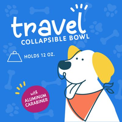 Image showing  Collapsible Pet Bowl, Assorted Colors