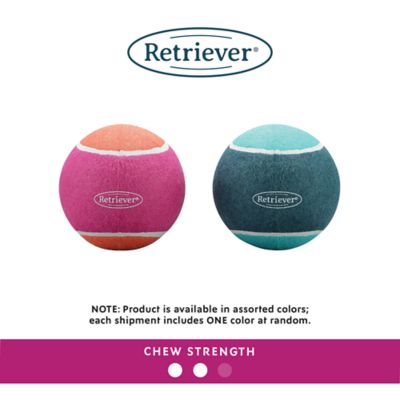 Image showing  Jumbo XL 6 in. Tennis Ball Dog Toy, Assorted Colors