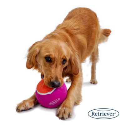 Image showing  Jumbo XL 6 in. Tennis Ball Dog Toy, Assorted Colors