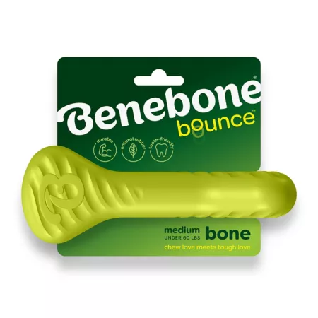 Benebone Rubber Bone Dog Chew Toys