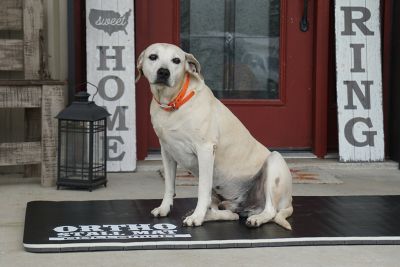 Image showing  Ortho Stall Mat, Black