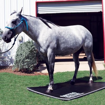 Image showing  Ortho Stall Mat, Black