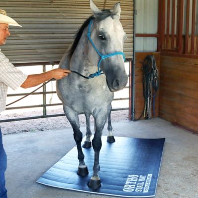 Image showing 5 th Dollamur Ortho Stall Mat, Black