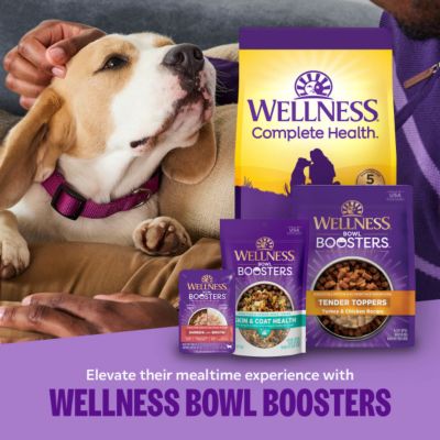 Image showing 8 th Wellness Complete Health Complete Health Dry Dog Food, Wholesome Grains, Natural, Lamb & Barley Recipe, 26 lb. Bag