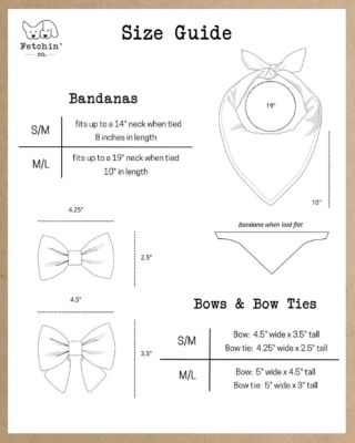 Image showing  Pet Lemonade Bow