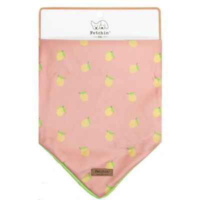 Fetchin' Co Lemonade Pet Bandana