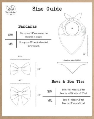 Image showing  Chambray Flower Pet Bandana