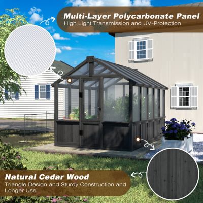 Image showing  6 ft. x 10 ft. Wooden Black Garden Greenhouse with Multi-Layer Polycarbonate Panels and Roof