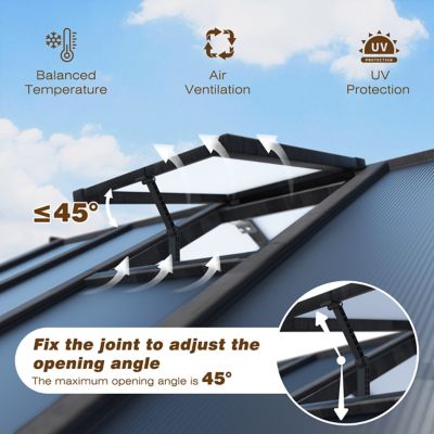 Image showing  6 ft. x 10 ft. Wooden Black Garden Greenhouse with Multi-Layer Polycarbonate Panels and Roof