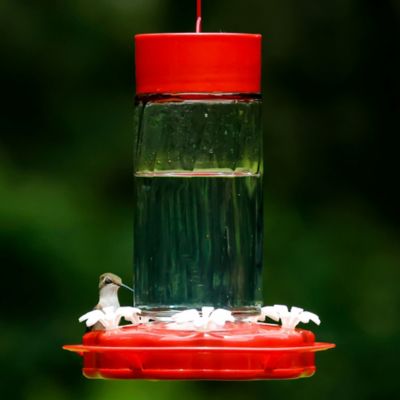 Image showing  Scarlet Swirl Glass Hummingbird Feeder, 20 oz.