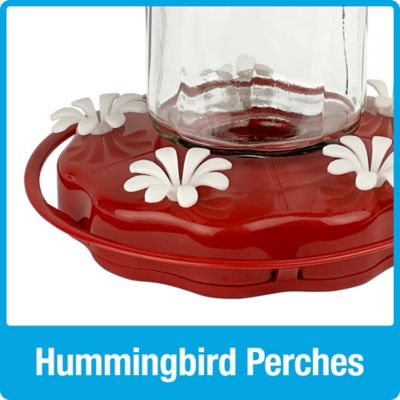 Image showing 8 th Nature's Way Scarlet Swirl Glass Hummingbird Feeder, 20 oz.