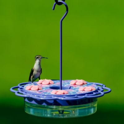 Image showing  Petunia Passion Plastic Decorative Dish Hummingbird Feeder, 13 oz.