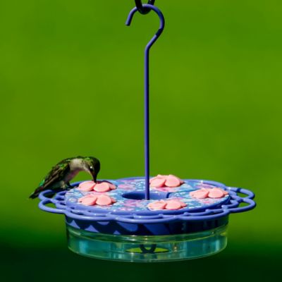 Image showing  Petunia Passion Plastic Decorative Dish Hummingbird Feeder, 13 oz.