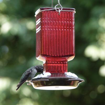 Image showing  Carnation Antique Glass Hummingbird Feeder, 22 oz.