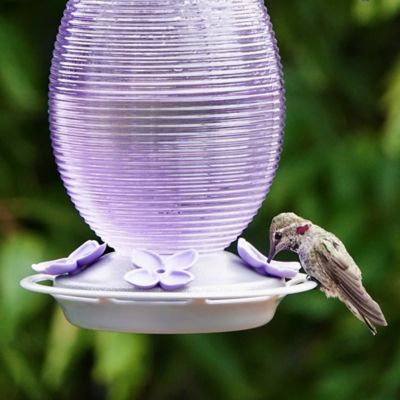 Image showing  Lilac Dreams Antique Glass Hummingbird Feeder, 29 oz.