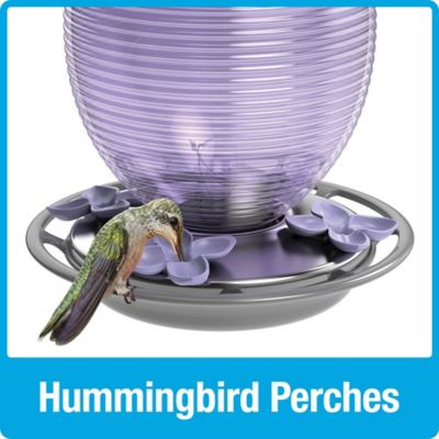 Image showing 9 th Nature's Way Lilac Dreams Antique Glass Hummingbird Feeder, 29 oz.