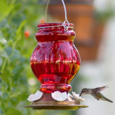 Image showing 5 th Nature's Way Ruby Visions Antique Glass Hummingbird Feeder, 25 oz.