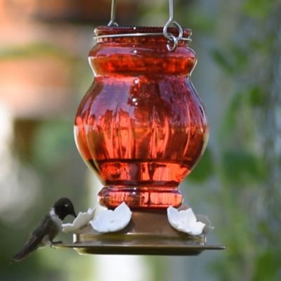 Image showing 6 th Nature's Way Ruby Visions Antique Glass Hummingbird Feeder, 25 oz.