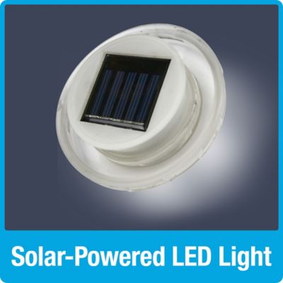 Image showing  Teal Antique Glass Hummingbird Glass Feeder, 28 oz.